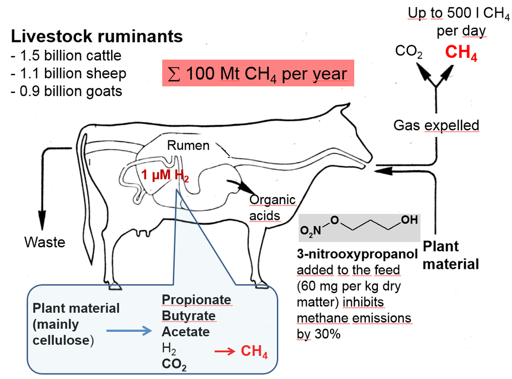 Mode of action uncovered for the specific reduction of methane