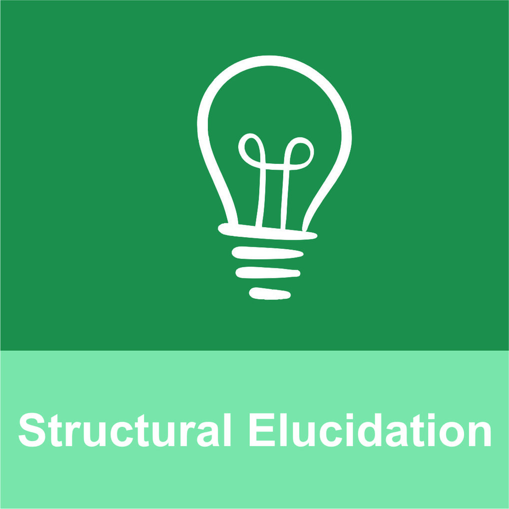 Structural Elucidat