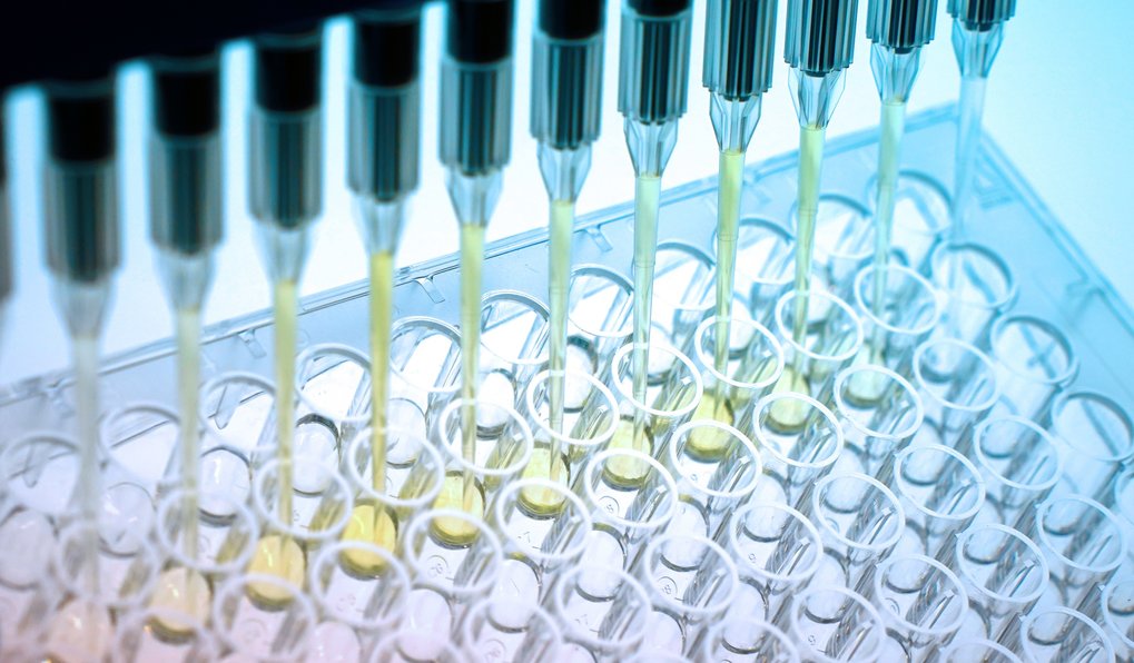 Formate can be envisioned at the core of a carbon-neutral bioeconomy, where it is produced from CO2 by (electro-)chemical means and converted into value-added products by enzymatic cascades or engineered microbes. A key step in expanding synthetic formate assimilation is its thermodynamically challenging reduction to formaldehyde, visible here as a yellow color change.