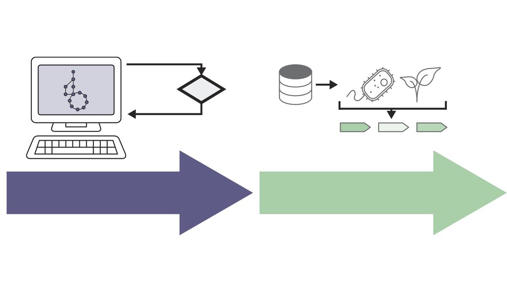 Services and Methods