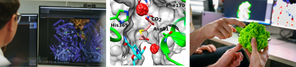 Biochemistry and evolution of natural CO2 fixing enzymes  