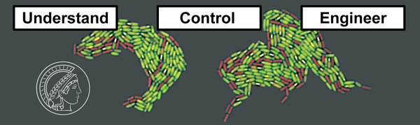 Complex Adaptive Traits (CATs)