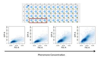 Flow Cytometry