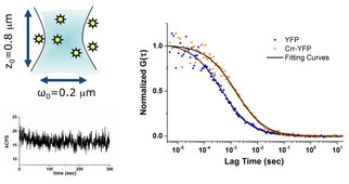 Fluorescence Microscopy