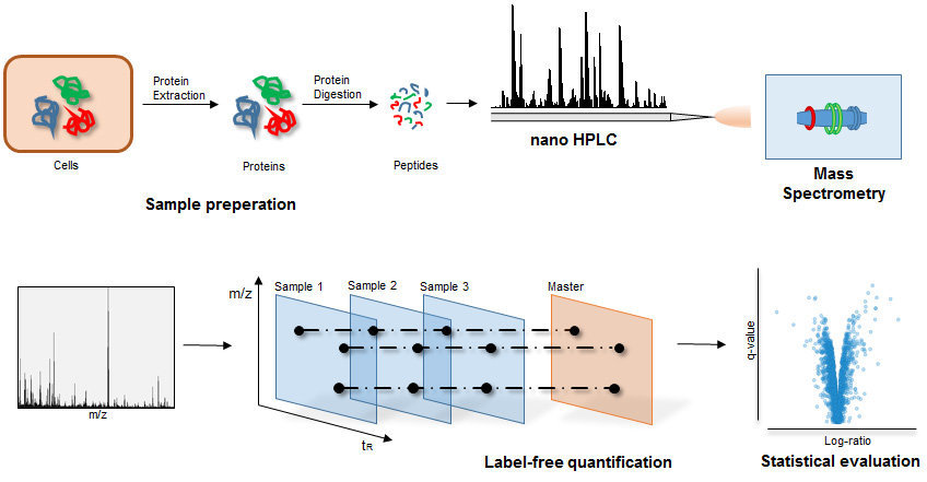 Proteomics