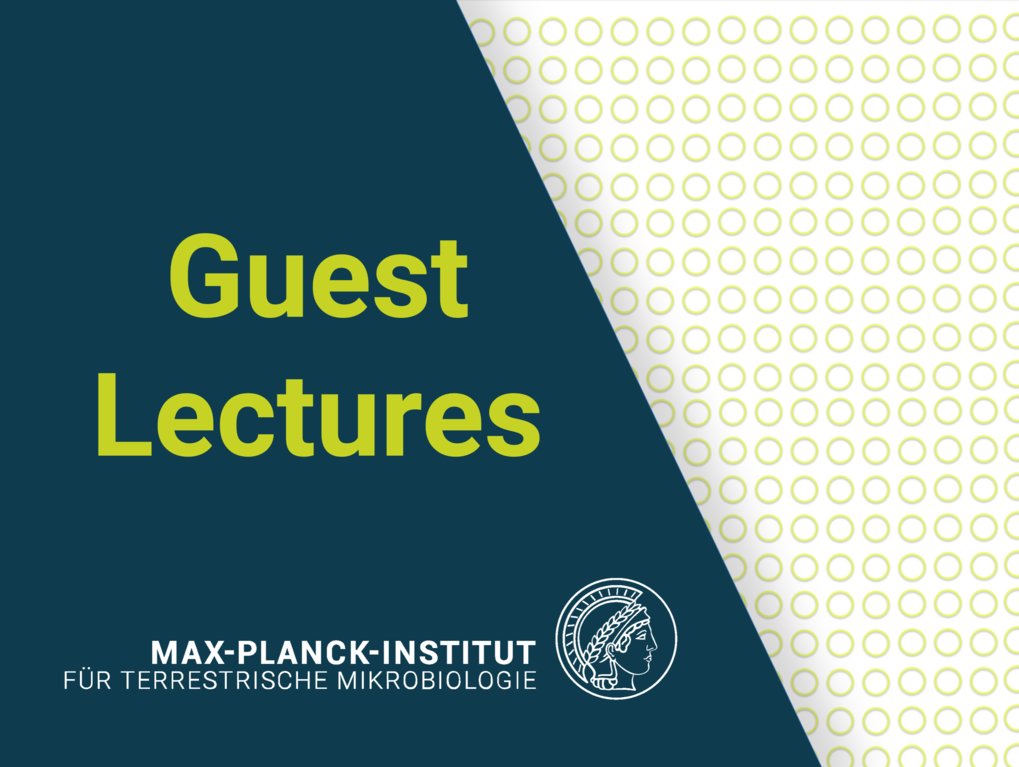 Guest lectures & other seminars